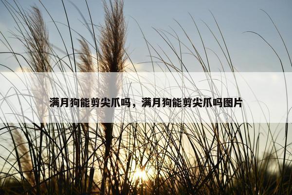 捕获