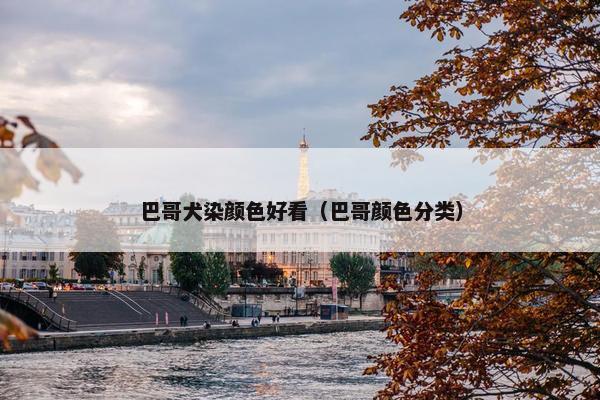 巴哥犬染颜色好看（巴哥颜色分类）