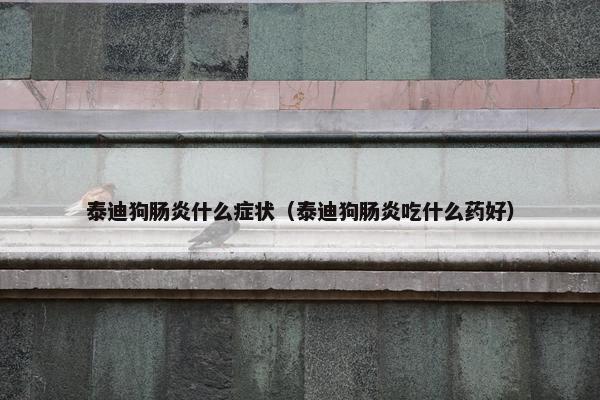 肠炎