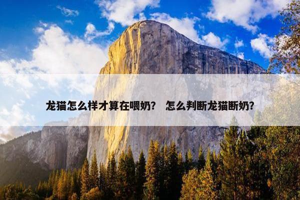 龙猫怎么样才算在喂奶？ 怎么判断龙猫断奶？