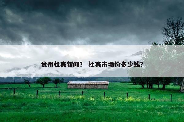 贵州杜宾新闻？ 杜宾市场价多少钱？
