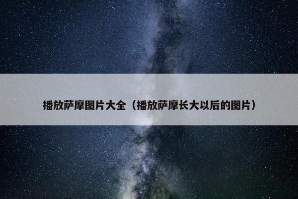 播放萨摩图片大全（播放萨摩长大以后的图片）