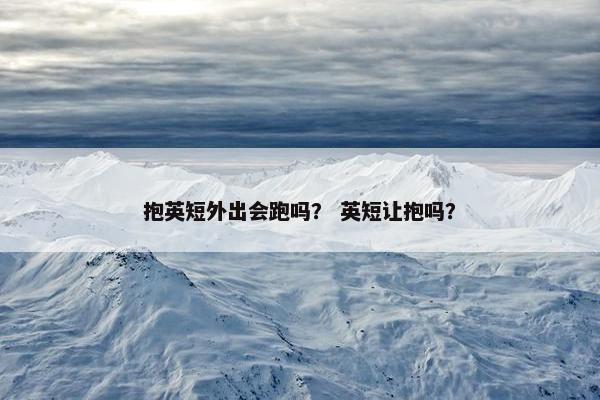 抱英短外出会跑吗？ 英短让抱吗？