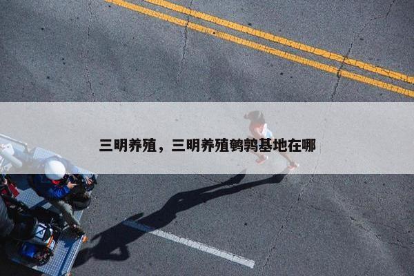 三明养殖，三明养殖鹌鹑基地在哪