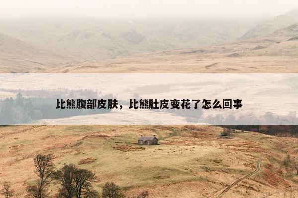 比熊腹部皮肤，比熊肚皮变花了怎么回事