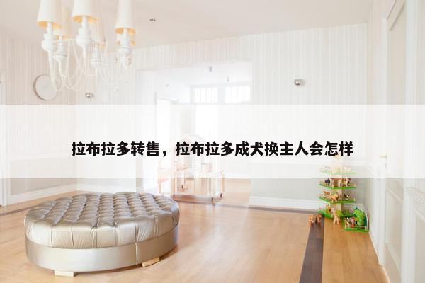 拉布拉多转售，拉布拉多成犬换主人会怎样