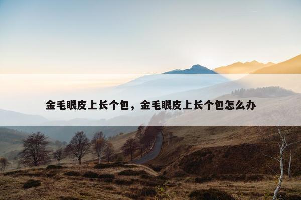 金毛眼皮上长个包,金毛眼皮上长个包怎么办