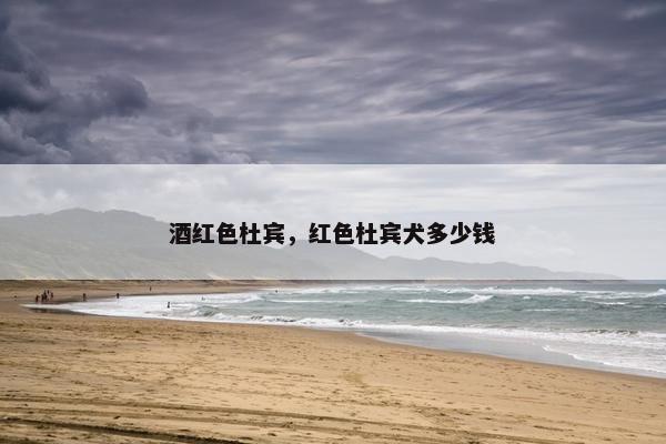 酒红色杜宾，红色杜宾犬多少钱