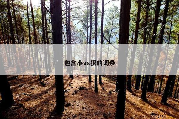 包含小vs狼的词条