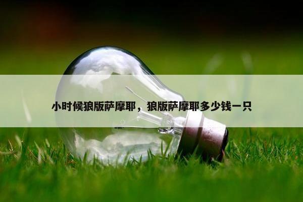 小时候狼版萨摩耶，狼版萨摩耶多少钱一只