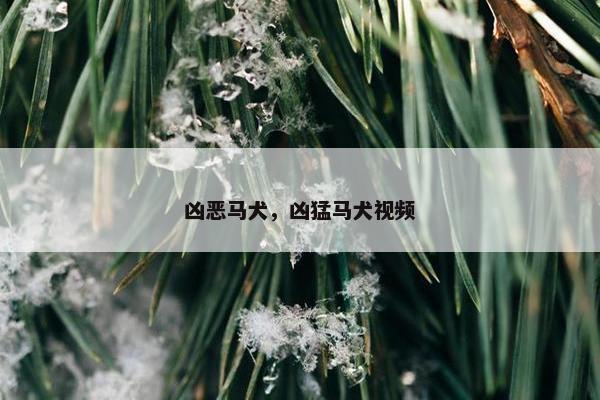 凶恶马犬，凶猛马犬视频