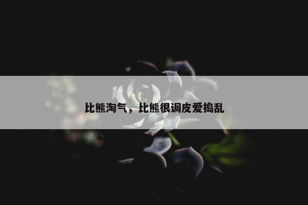 比熊淘气，比熊很调皮爱捣乱