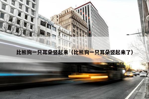 比熊狗一只耳朵竖起来（比熊狗一只耳朵竖起来了）
