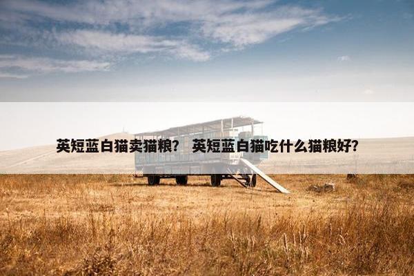 英短蓝白猫卖猫粮？ 英短蓝白猫吃什么猫粮好？