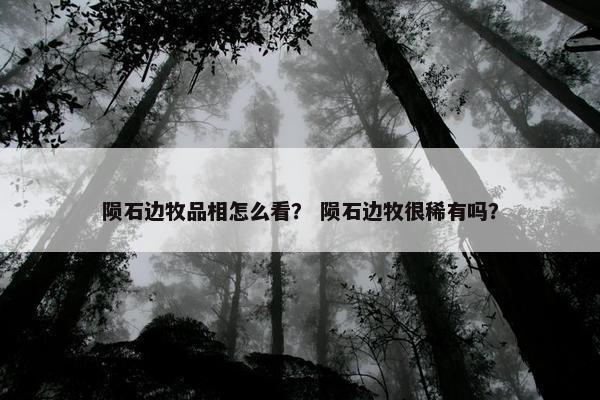 陨石边牧品相怎么看？ 陨石边牧很稀有吗？