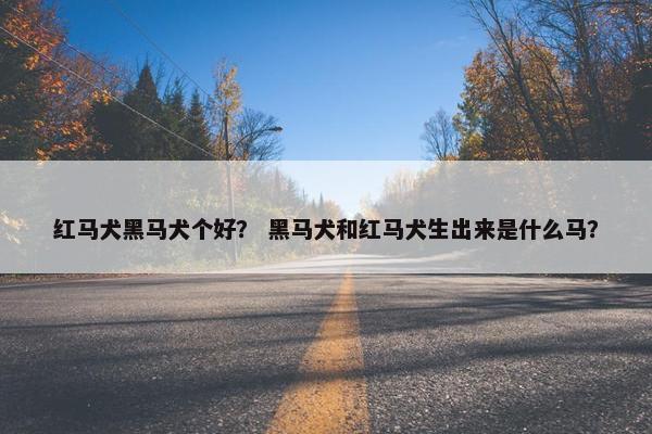 红马犬黑马犬个好？ 黑马犬和红马犬生出来是什么马？