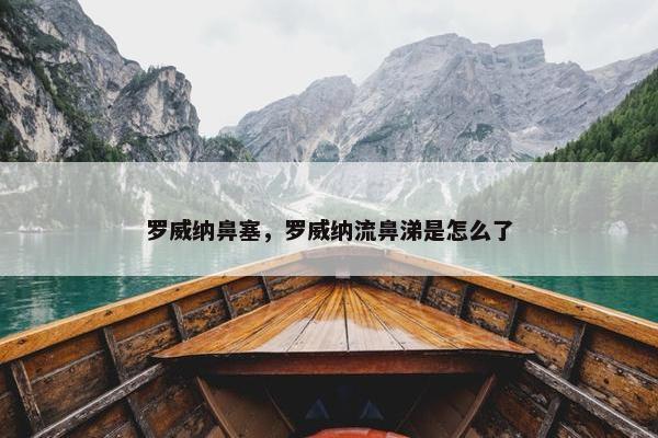 鼻腔
