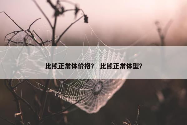比熊正常体价格？ 比熊正常体型？