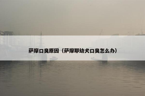 萨摩口臭原因（萨摩耶幼犬口臭怎么办）