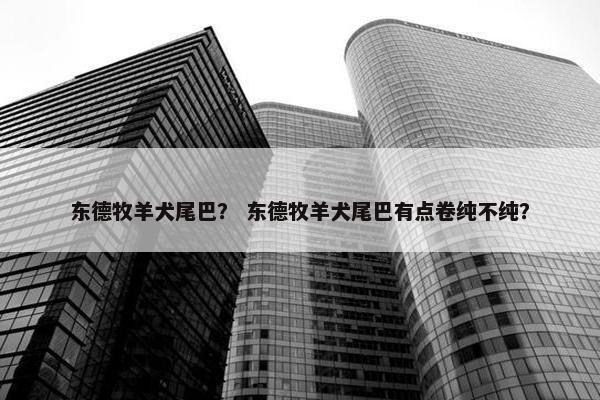 东德牧羊犬尾巴？ 东德牧羊犬尾巴有点卷纯不纯？