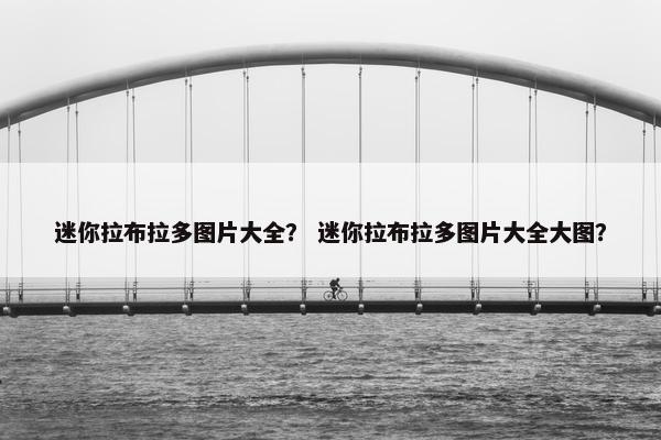 迷你拉布拉多图片大全？ 迷你拉布拉多图片大全大图？