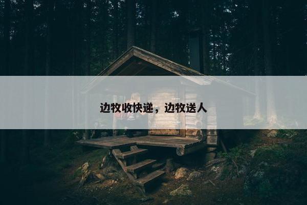 边牧收快递,边牧送人