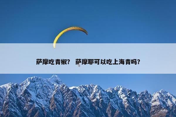 萨摩吃青椒？ 萨摩耶可以吃上海青吗？