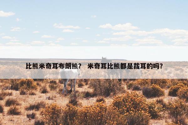 比熊米奇耳布朗熊？ 米奇耳比熊都是裁耳的吗？