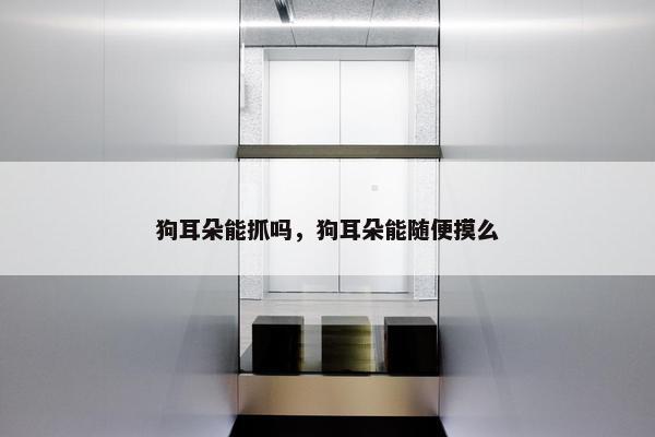 狗耳朵能抓吗，狗耳朵能随便摸么