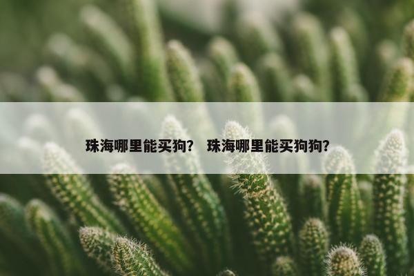 珠海哪里能买狗？ 珠海哪里能买狗狗？