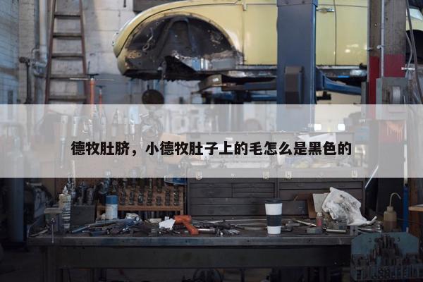 德牧肚脐，小德牧肚子上的毛怎么是黑色的