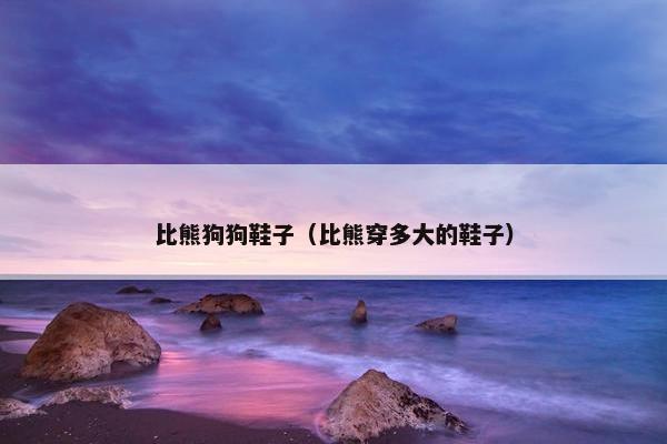 比熊狗狗鞋子（比熊穿多大的鞋子）