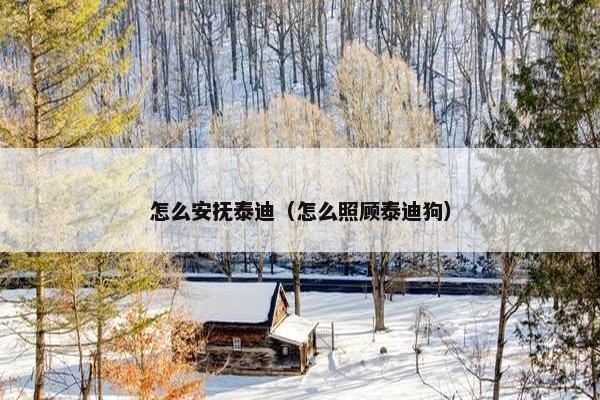 抚摸