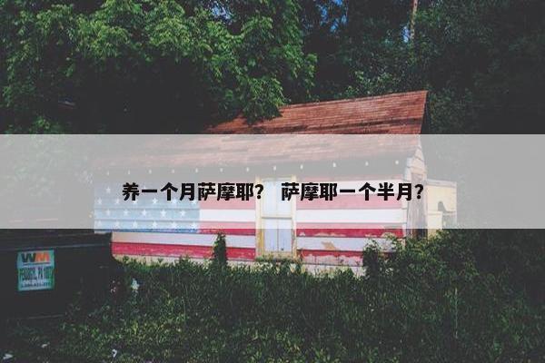 养一个月萨摩耶？ 萨摩耶一个半月？