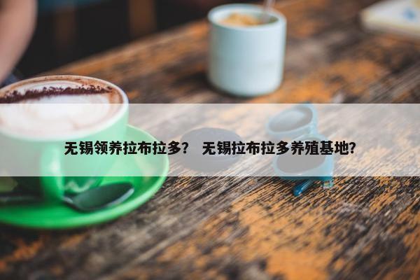 无锡领养拉布拉多？ 无锡拉布拉多养殖基地？