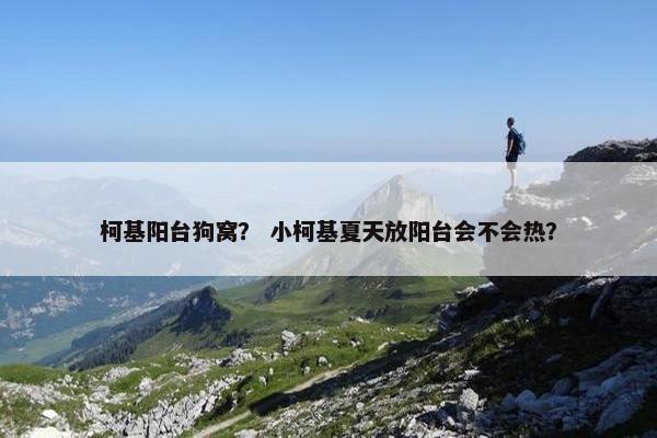 柯基阳台狗窝？ 小柯基夏天放阳台会不会热？
