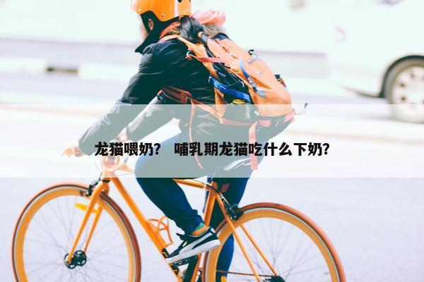 龙猫喂奶？ 哺乳期龙猫吃什么下奶？