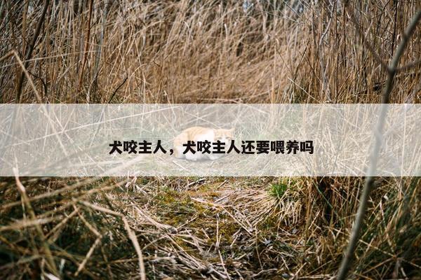 犬咬主人，犬咬主人还要喂养吗