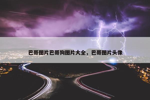 巴哥图片巴哥狗图片大全，巴哥图片头像