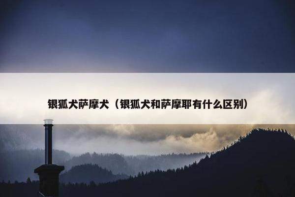 银狐犬萨摩犬（银狐犬和萨摩耶有什么区别）