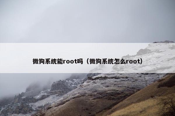小米