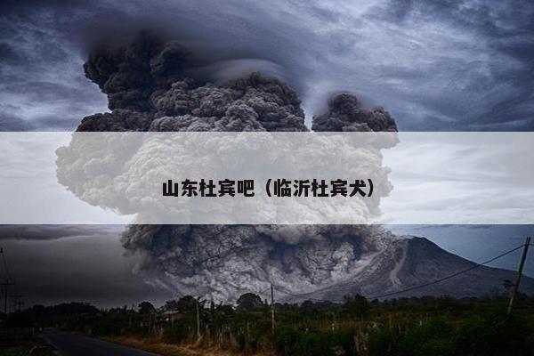 山东杜宾吧（临沂杜宾犬）