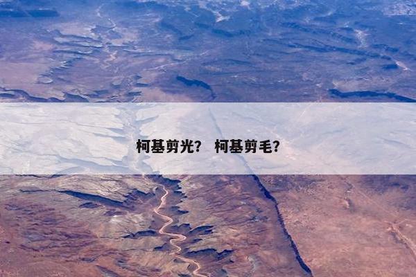 修剪 第4页