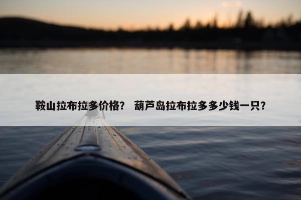鞍山拉布拉多价格? 葫芦岛拉布拉多多少钱一只?