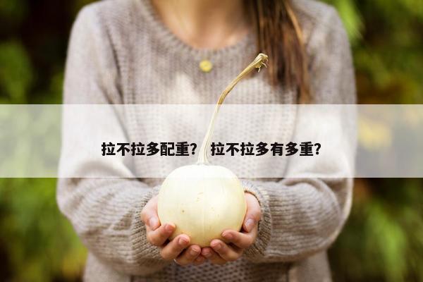 拉不拉多配重? 拉不拉多有多重?