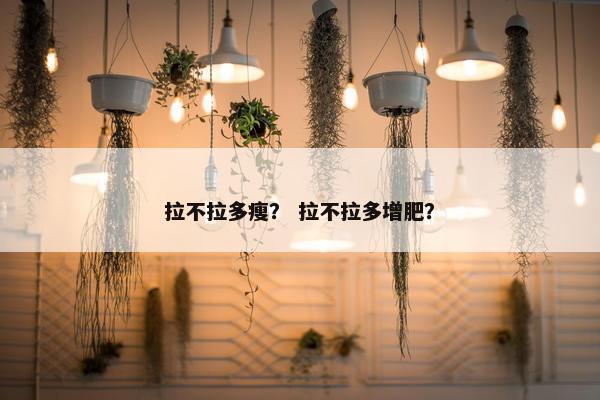 拉不拉多瘦？ 拉不拉多增肥？