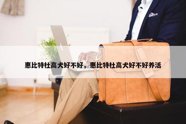 路基