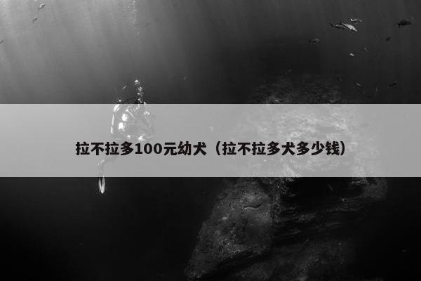 拉不拉多100元幼犬（拉不拉多犬多少钱）