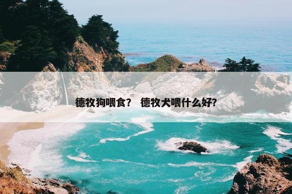 德牧狗喂食? 德牧犬喂什么好?