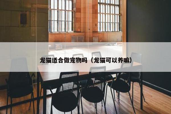 龙猫适合做宠物吗（龙猫可以养嘛）